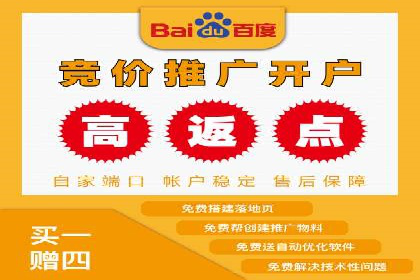 某公司通过百度竞价实现业务快速增长的案例